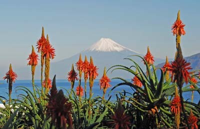 富士山画像作品