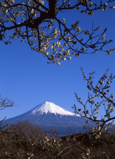 富士山画像作品