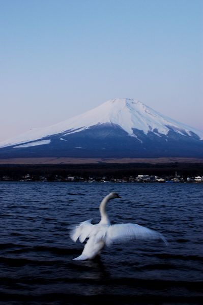 富士山画像記録