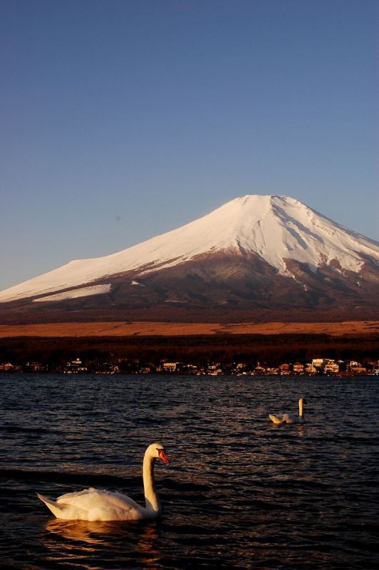 富士山画像記録