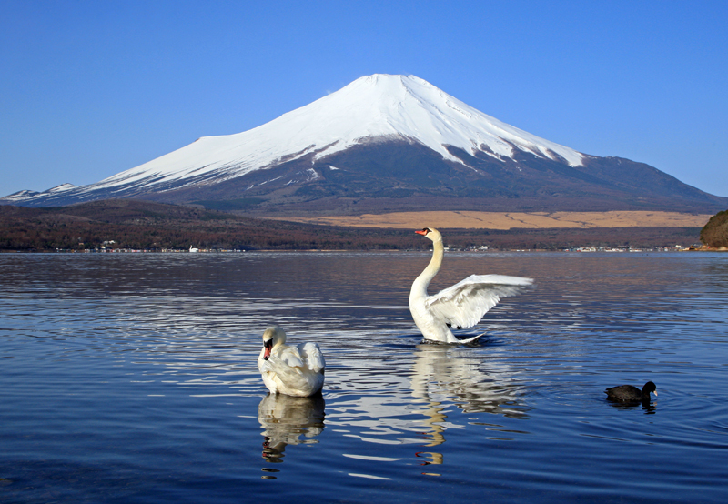 富士山画像作品