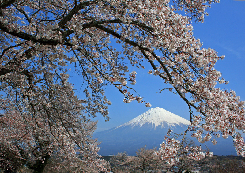 富士山画像作品