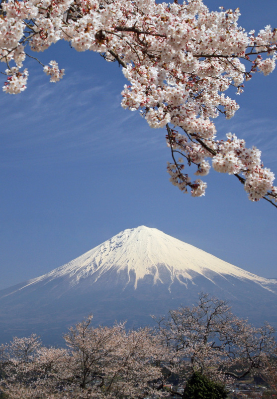 富士山画像作品