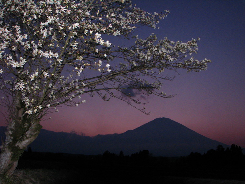 富士山画像記録