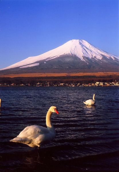 富士山画像記録