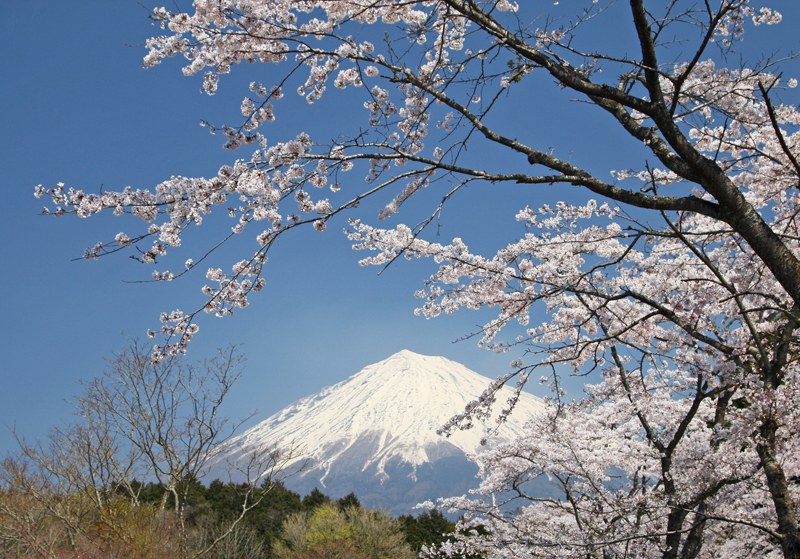 富士山画像作品