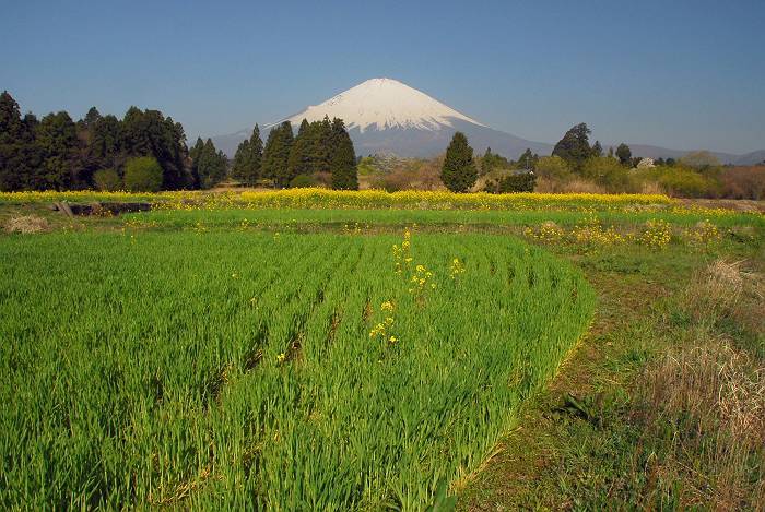 富士山画像作品