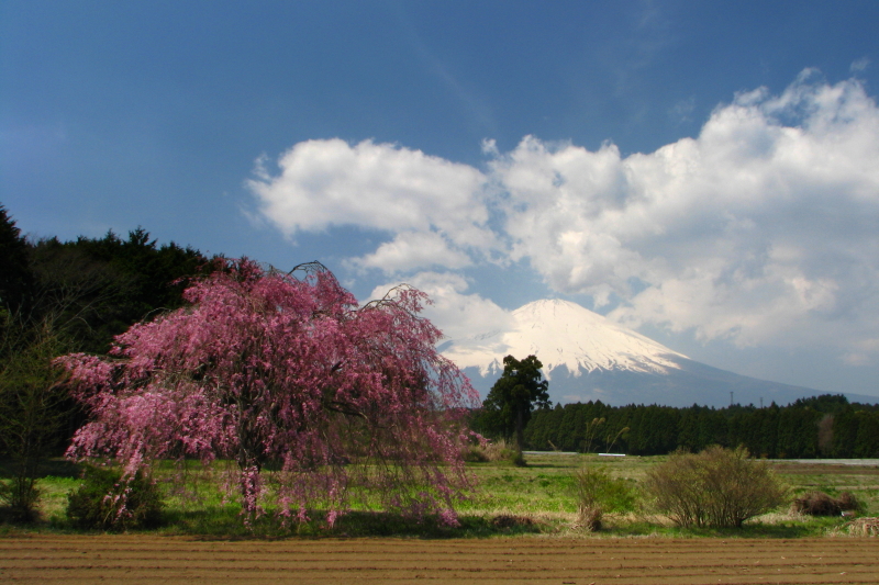 富士山画像記録