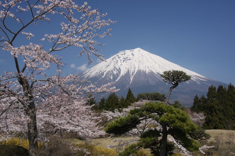 富士山画像作品