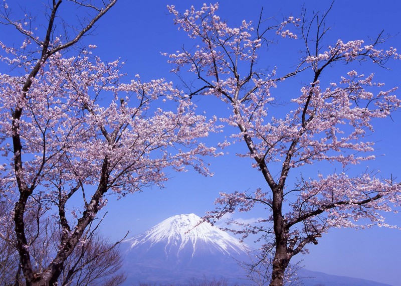 富士山画像記録