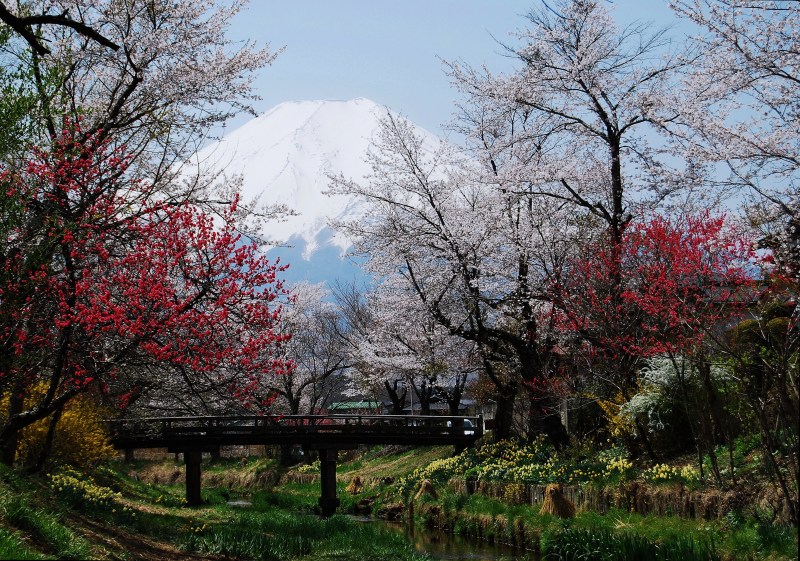 富士山画像記録