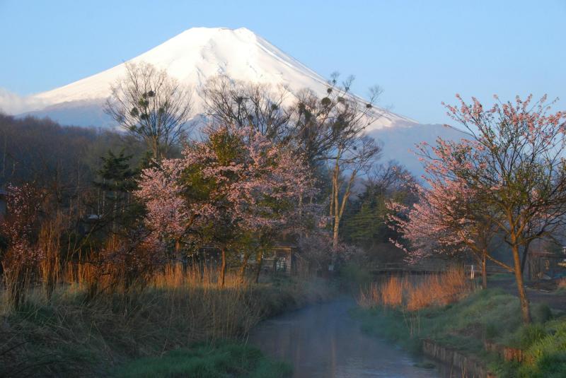 富士山周辺風景