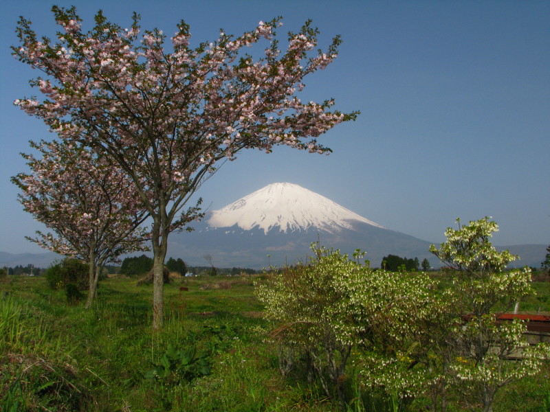 富士山画像記録