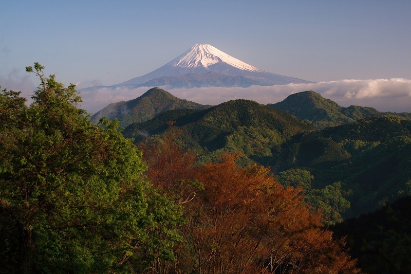 富士山画像作品