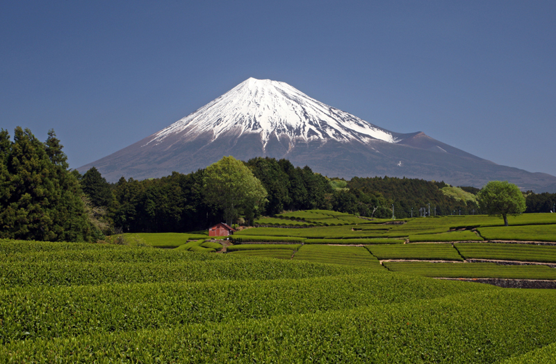 富士山画像作品