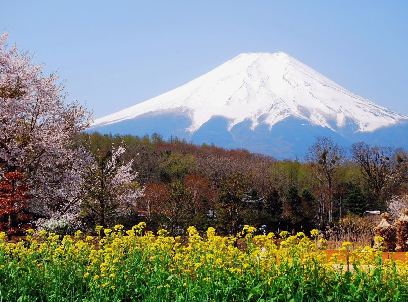 富士山画像記録