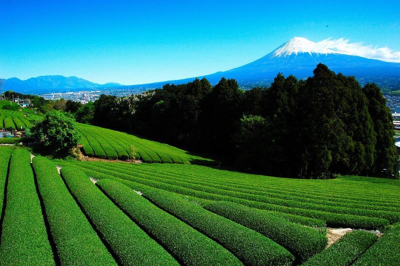 富士山画像記録