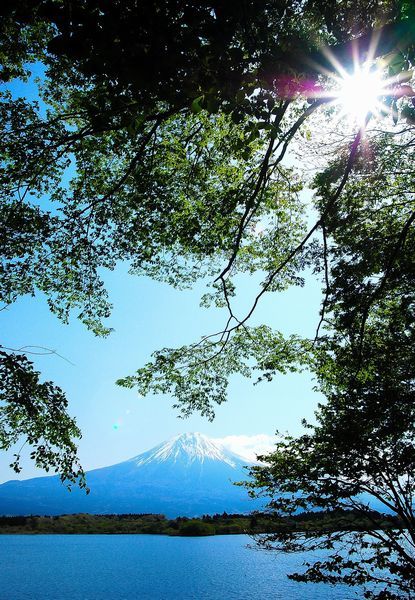 富士山画像記録