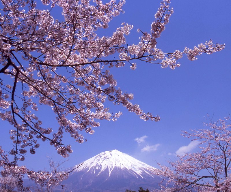 富士山画像記録