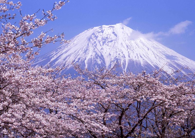 富士山画像記録