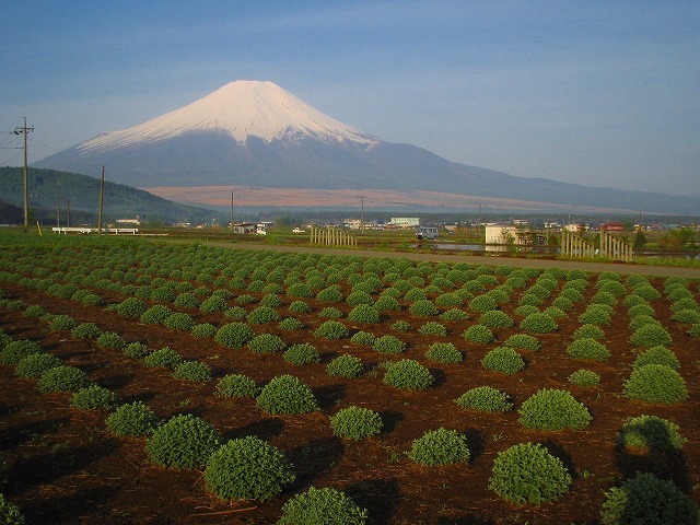 富士山画像作品