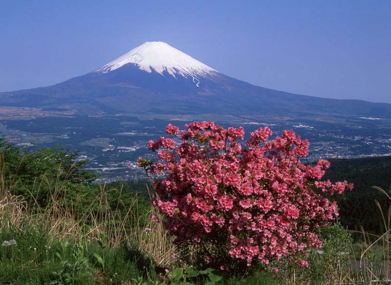 富士山画像作品