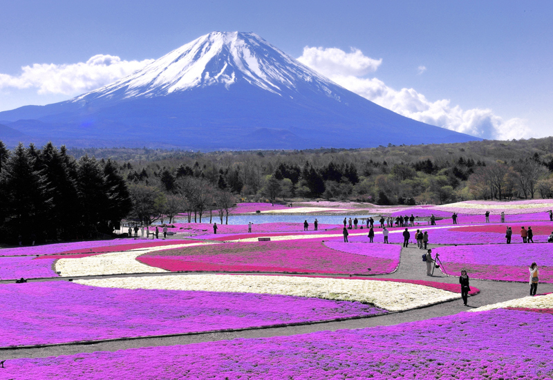 富士山画像作品