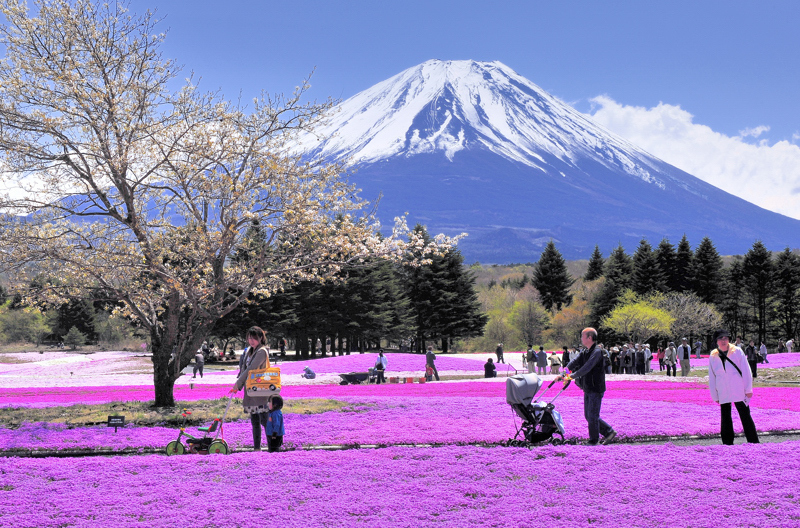 富士山画像作品