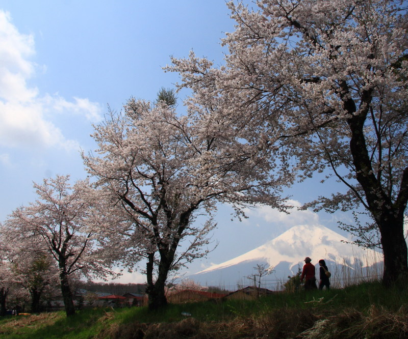 富士山画像作品