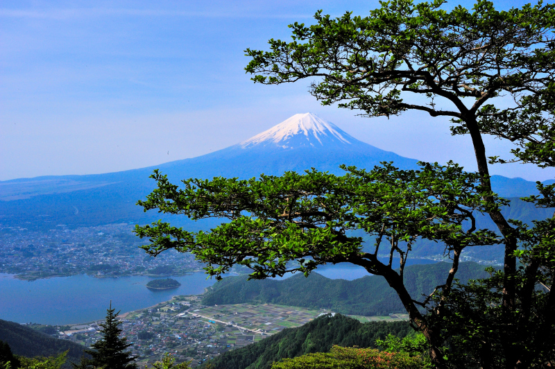 富士山画像作品