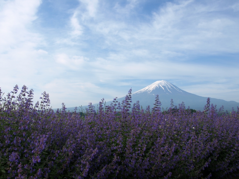 富士山画像作品