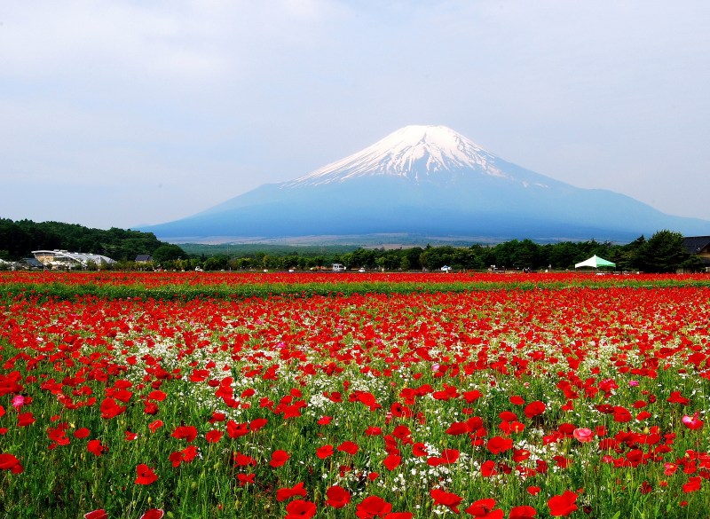 富士山画像記録