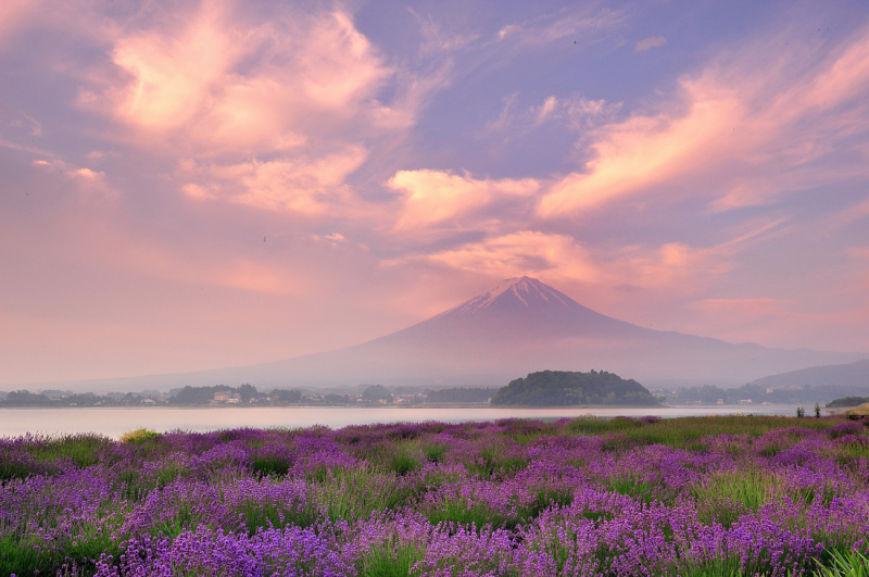 富士山画像作品