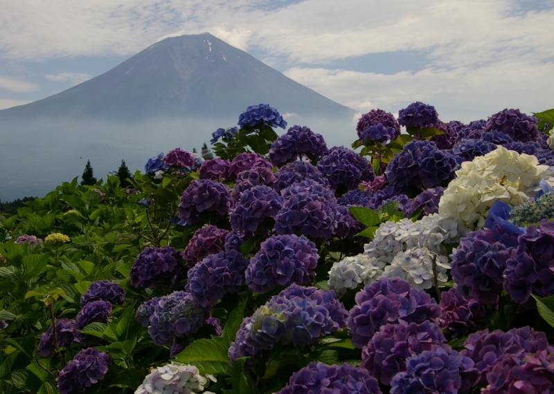 富士山画像作品