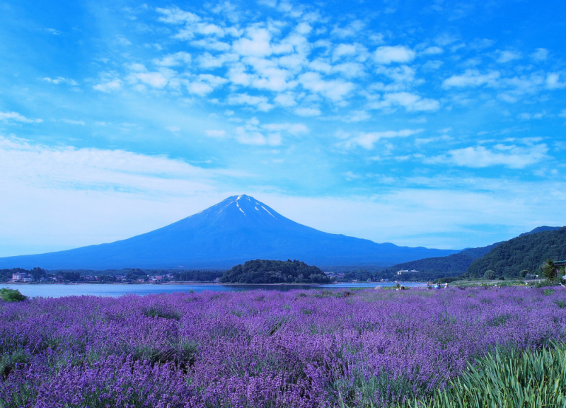 富士山画像作品