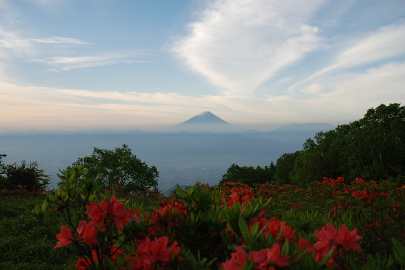 富士山画像作品