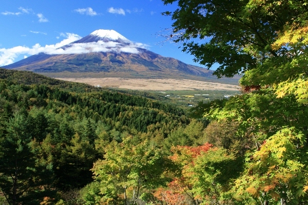 富士山画像作品