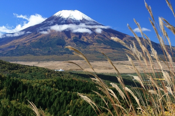 富士山画像作品