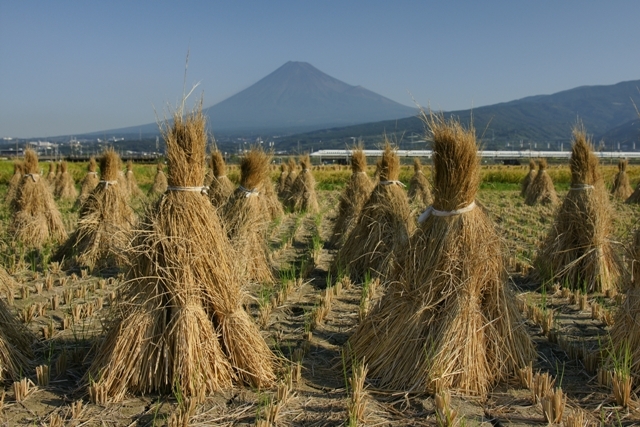 富士山画像作品