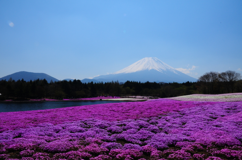 富士山画像作品