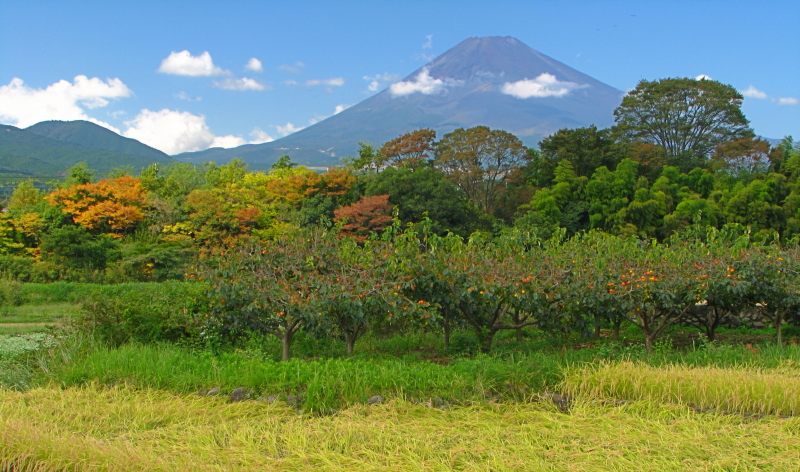 富士山画像作品