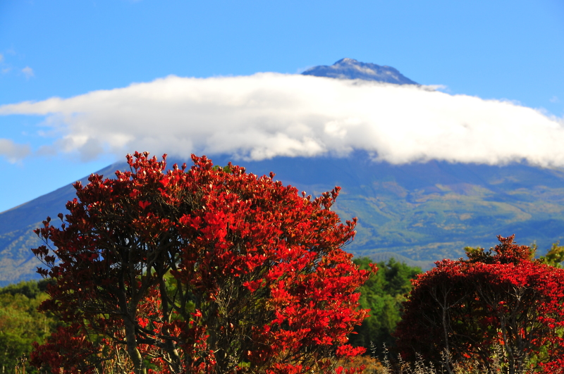 富士山画像作品