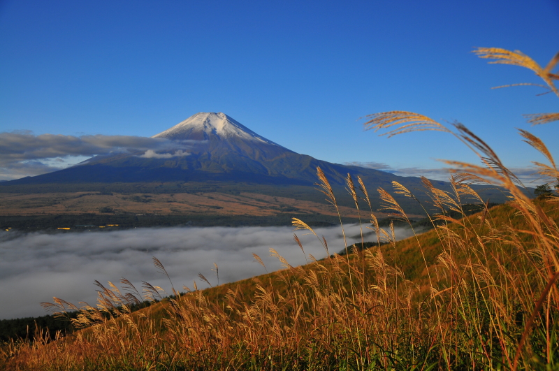 富士山画像作品