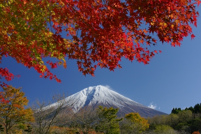 富士山画像作品