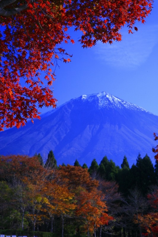 富士山画像作品