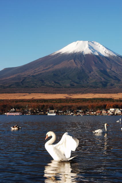 富士山画像記録