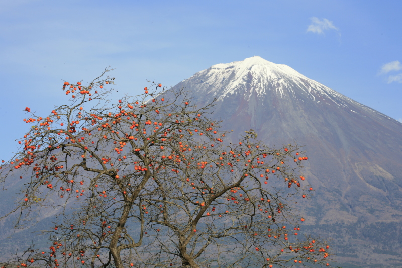 富士山画像作品