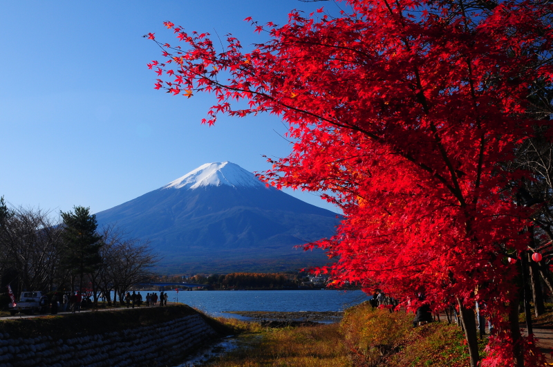 富士山画像作品