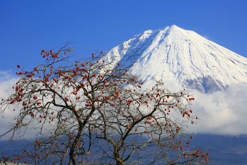 富士山画像作品