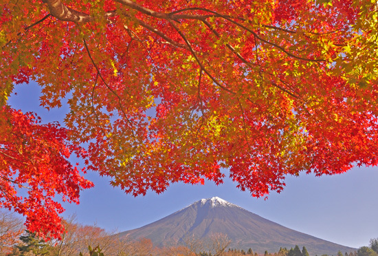 富士山画像作品